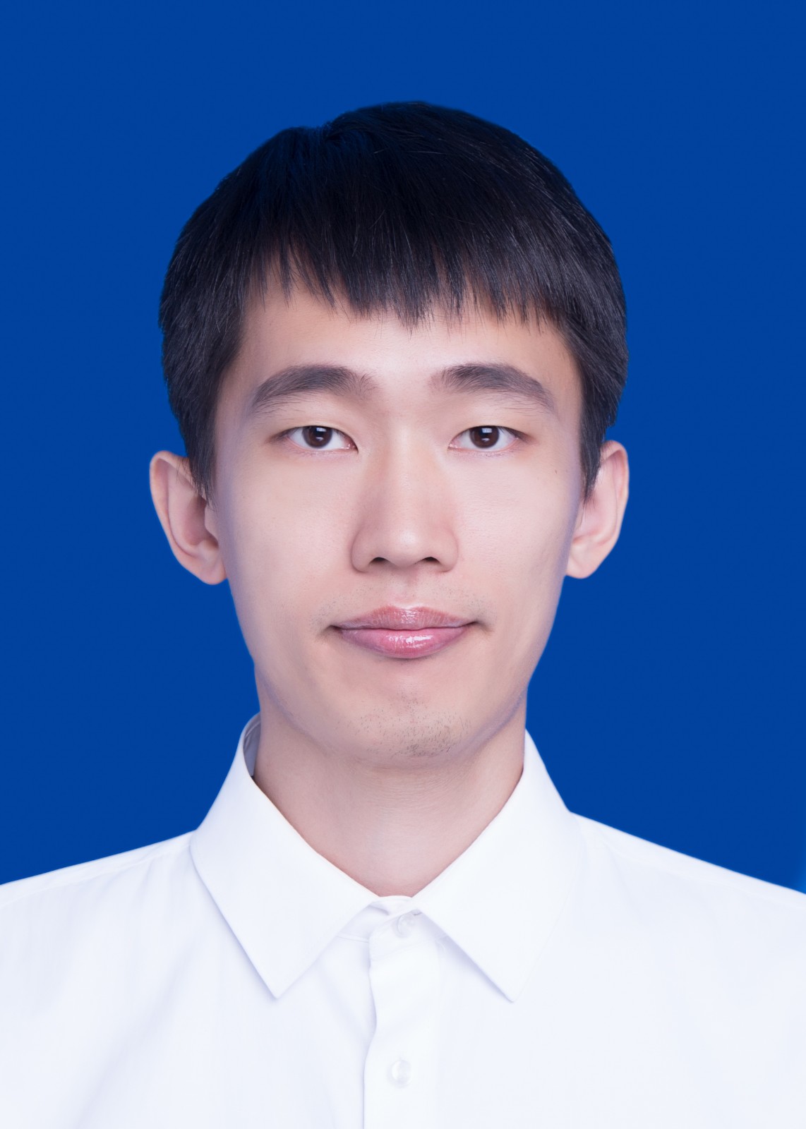 人员头像